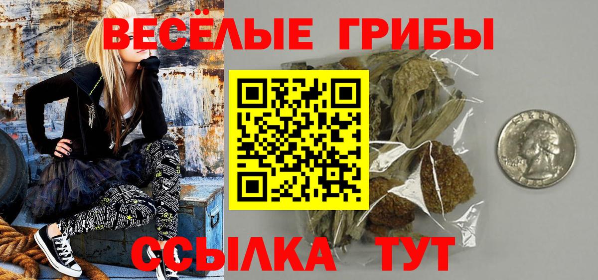 Псилоцибиновые грибы Psilocybine cubensis  закладка  Псилоцибиновые грибы мицелий  Всеволожск  Вход с VPN 