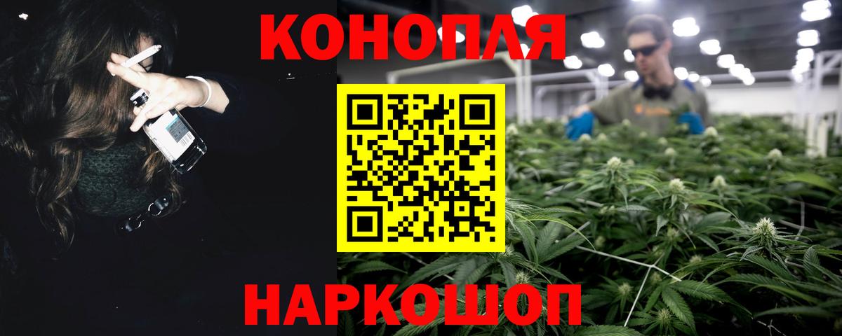 Бошки марихуана конопля  Бошки Шишки марихуана  Всеволожск  Вход с VPN 